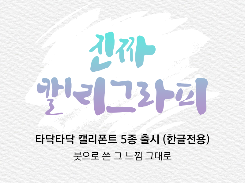 TDTDCalli 시리즈 5종