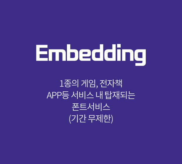 Embedding Plan (임베딩플랜)